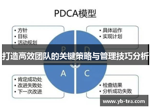 打造高效团队的关键策略与管理技巧分析