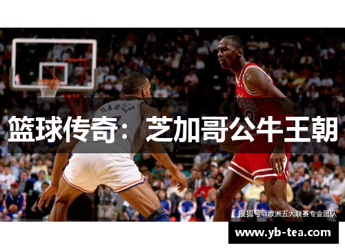 篮球传奇:芝加哥公牛王朝 篮球传奇:芝加哥公牛王朝