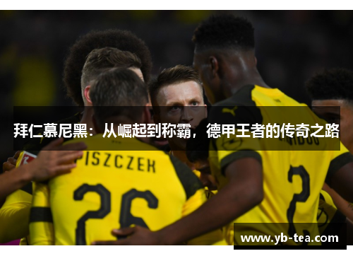 拜仁慕尼黑:从崛起到称霸,德甲王者的传奇之路 拜仁慕尼黑:从崛起到称霸,德甲王者的传奇之路