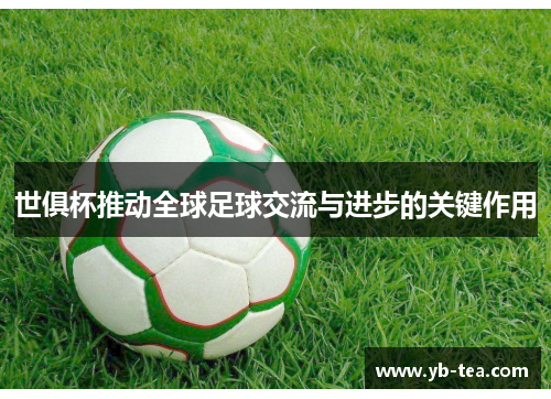 世俱杯推动全球足球交流与进步的关键作用 世俱杯推动全球足球交流与进步的关键作用